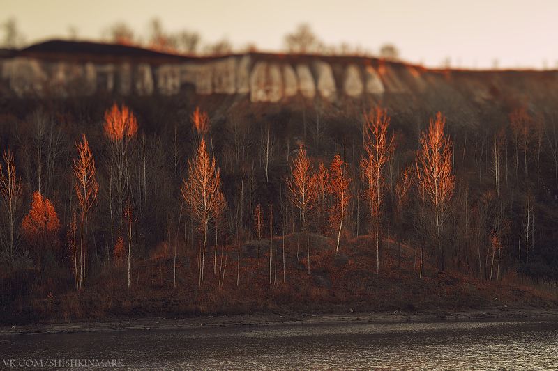 Закат, деревья, озеро, природа, пейзаж, красота Свечки фото превью