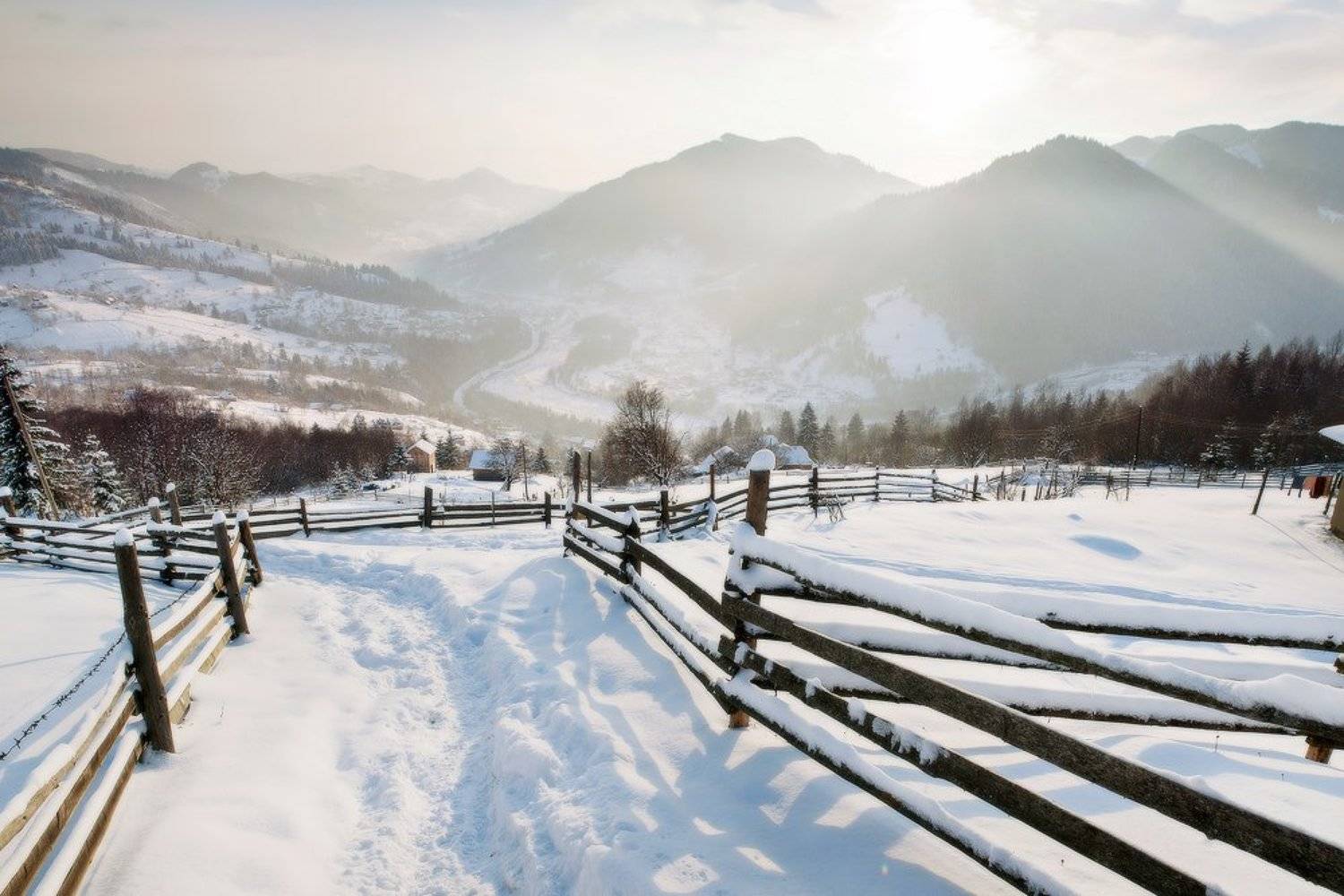 Карпаты, горы, рассвет, утро, пейзаж, панорама, зима, снег, Piligrim