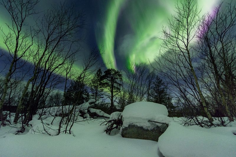 Aurora Borealis, Северное сияние, Териберка, Баренцево море Aurora Borealis фото превью