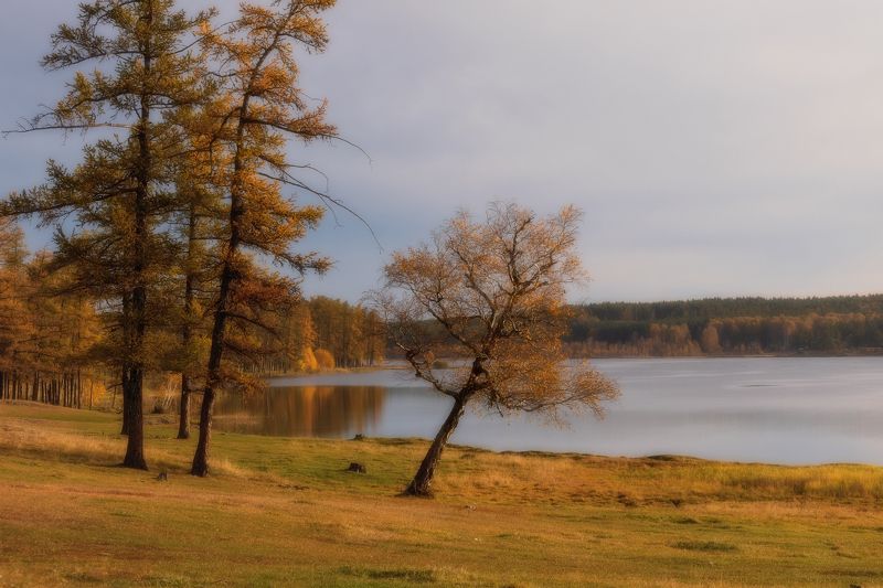 Осенняя фото превью