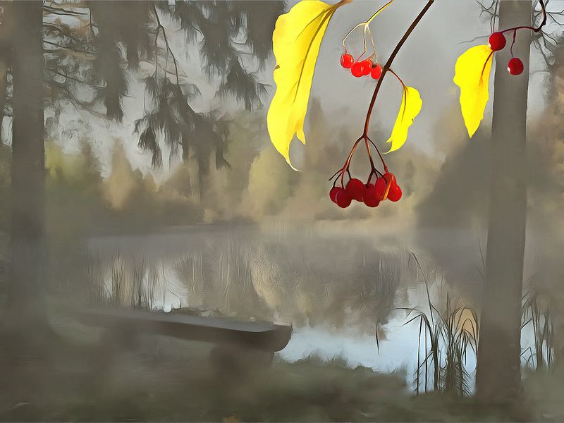Калина красная фото превью