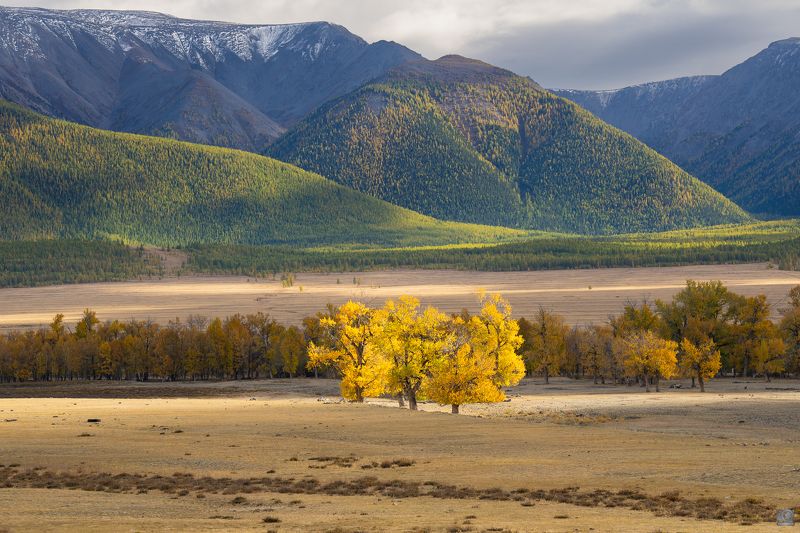 Осенний Алтай фото превью