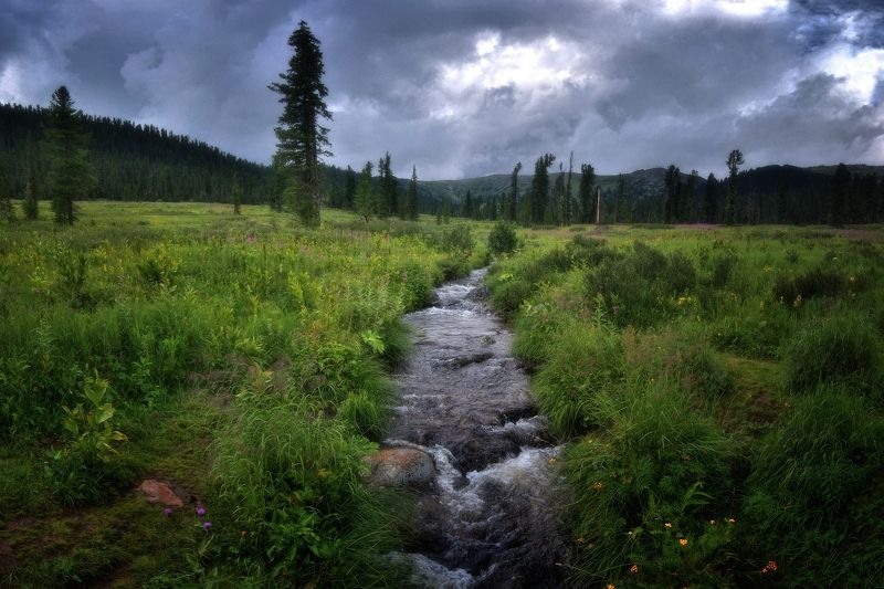 Сибирскими тропами фото превью