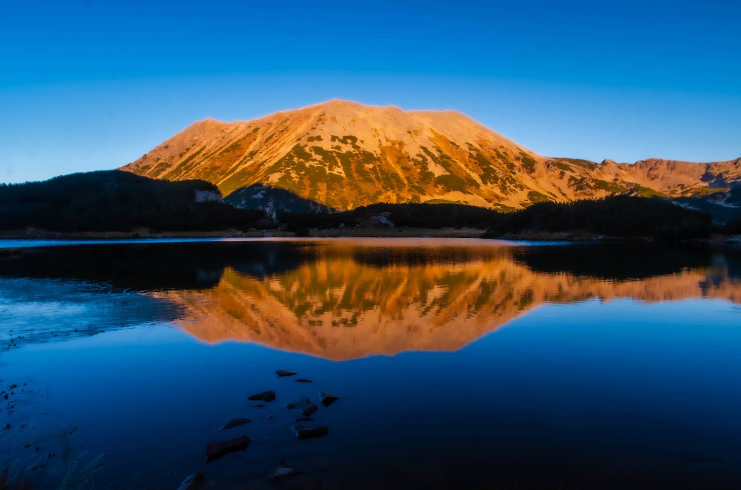 , Николов Андриян