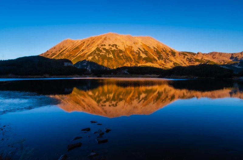 Золотая гора фото превью