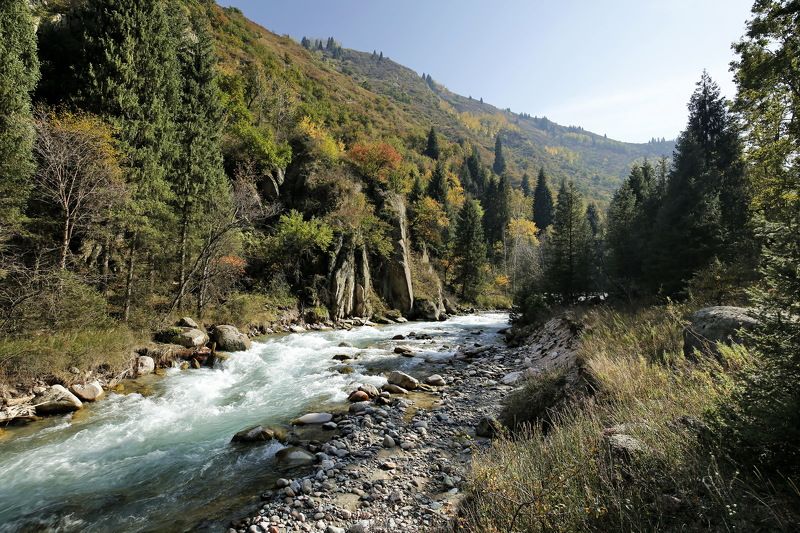 Левый талгар фото превью