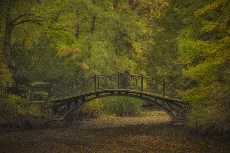 Autumn, Nature, Bridge, Tree, Lake, Leaf, Water, Plant, Pszczyna, Park Bridge фото превью