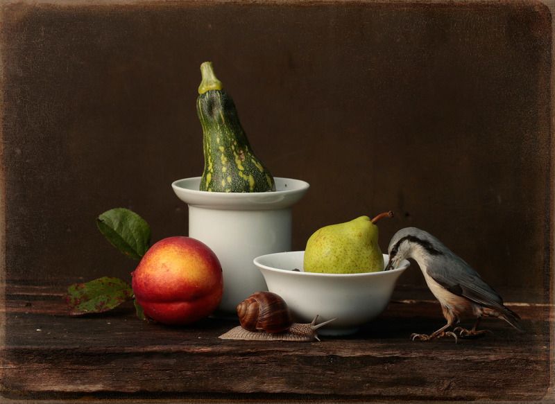 Поползновения фото превью