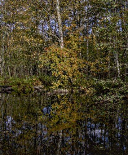 Осеннее отражение