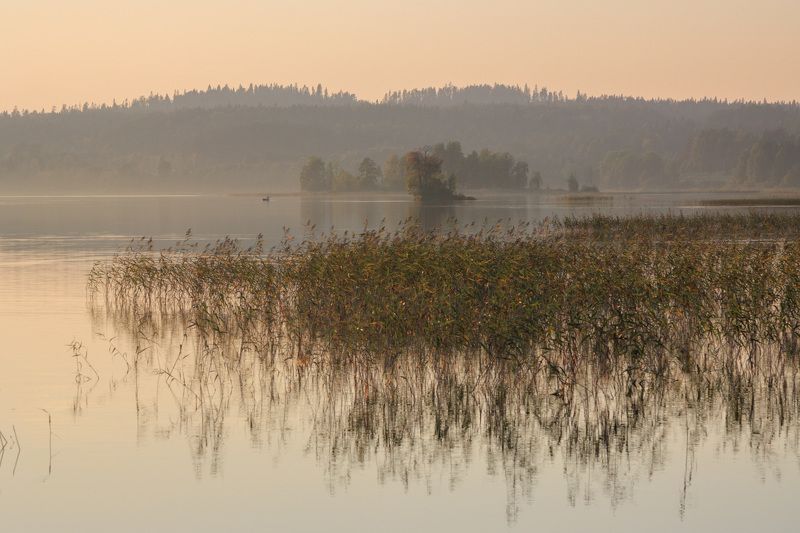 вечер закат озеро остров Золотой вечер фото превью