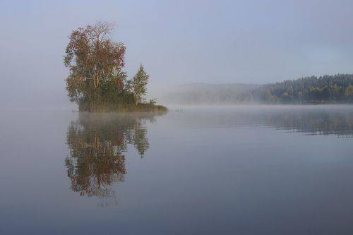 Отражение безмолвия