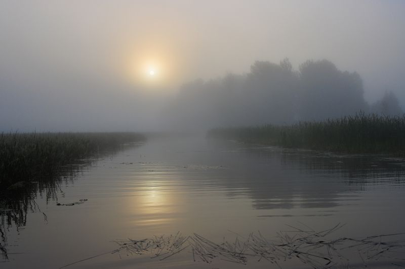 озеро протока вода утро рассвет туман дымка солнце Дорога к солнцу фото превью