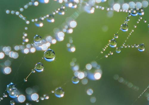 Примерю паучковы бусы!