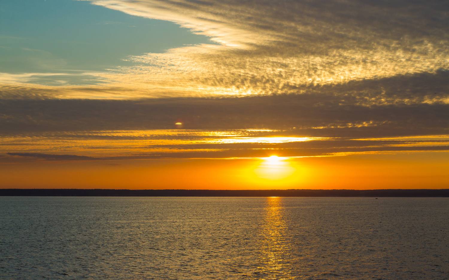 , Хвойнова Елена