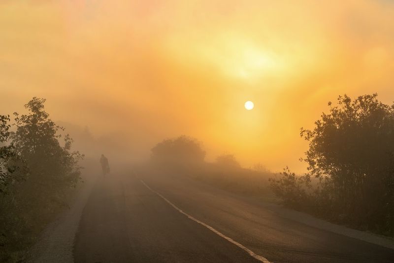 В тумане... фото превью