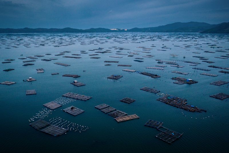 Traps фото превью