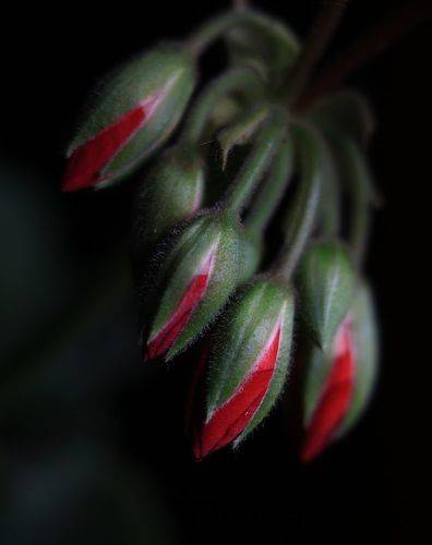 До того как...