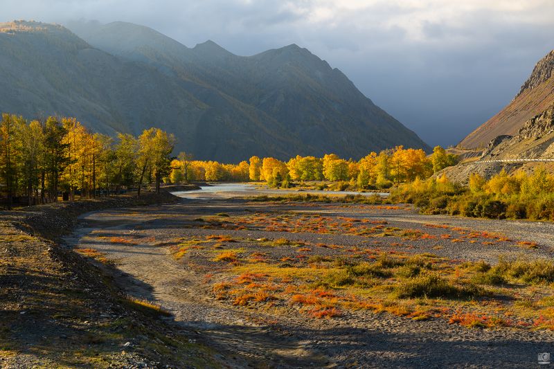 Осенние краски фото превью