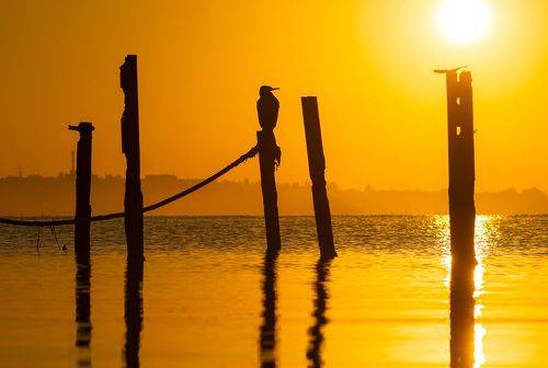 Рассвет, что осеннего цвета.