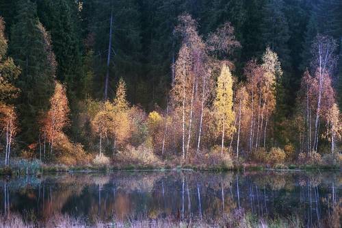 Стали дни холоднее