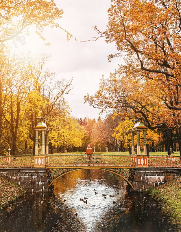 природа, осень, девушка Девушка с чемоданом фото превью