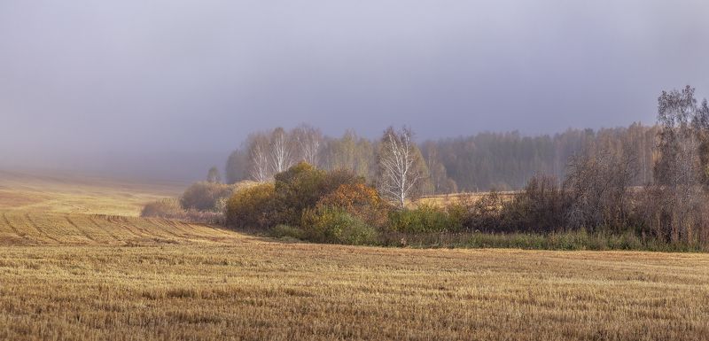 ... фото превью