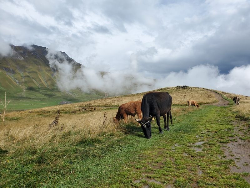 после дождя в горах фото превью