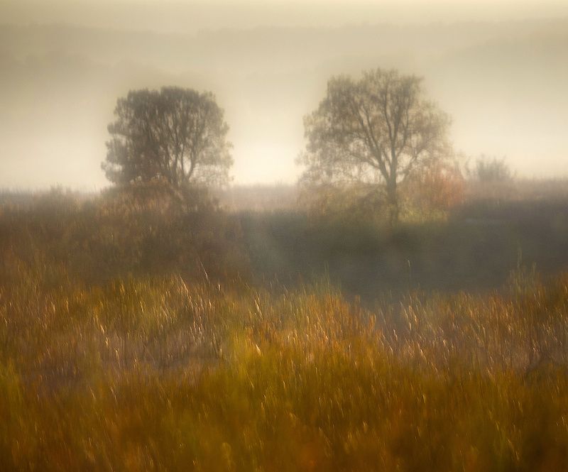 Мечты фото превью