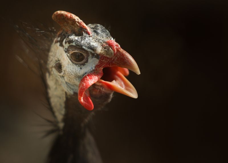 Найди меня! фото превью