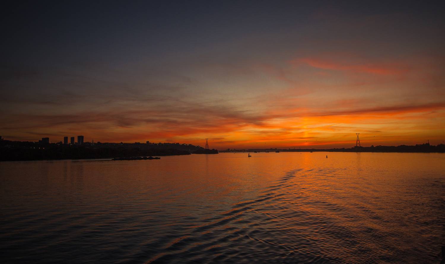 , Хвойнова Елена