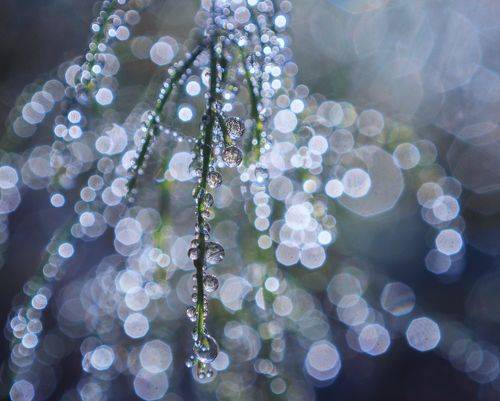 Хрустальный мир