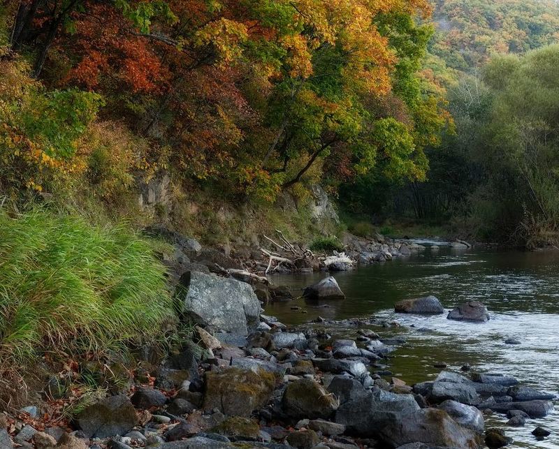 осенний, берег, река партизанская, приморье, осень осенний берег фото превью