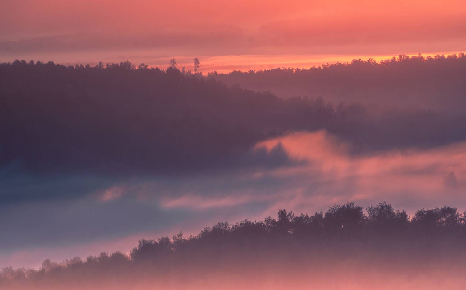 , Силантьев Даниил
