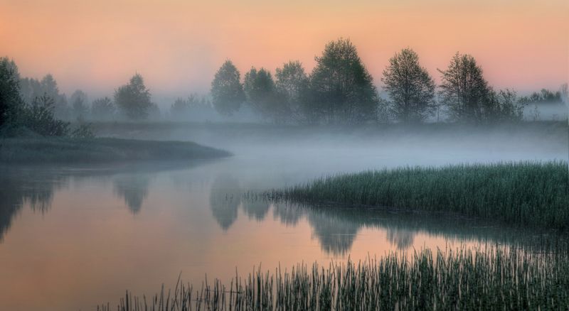 лето туман река Керженец Семеновский район Нижегородская область В тумане берега.. фото превью