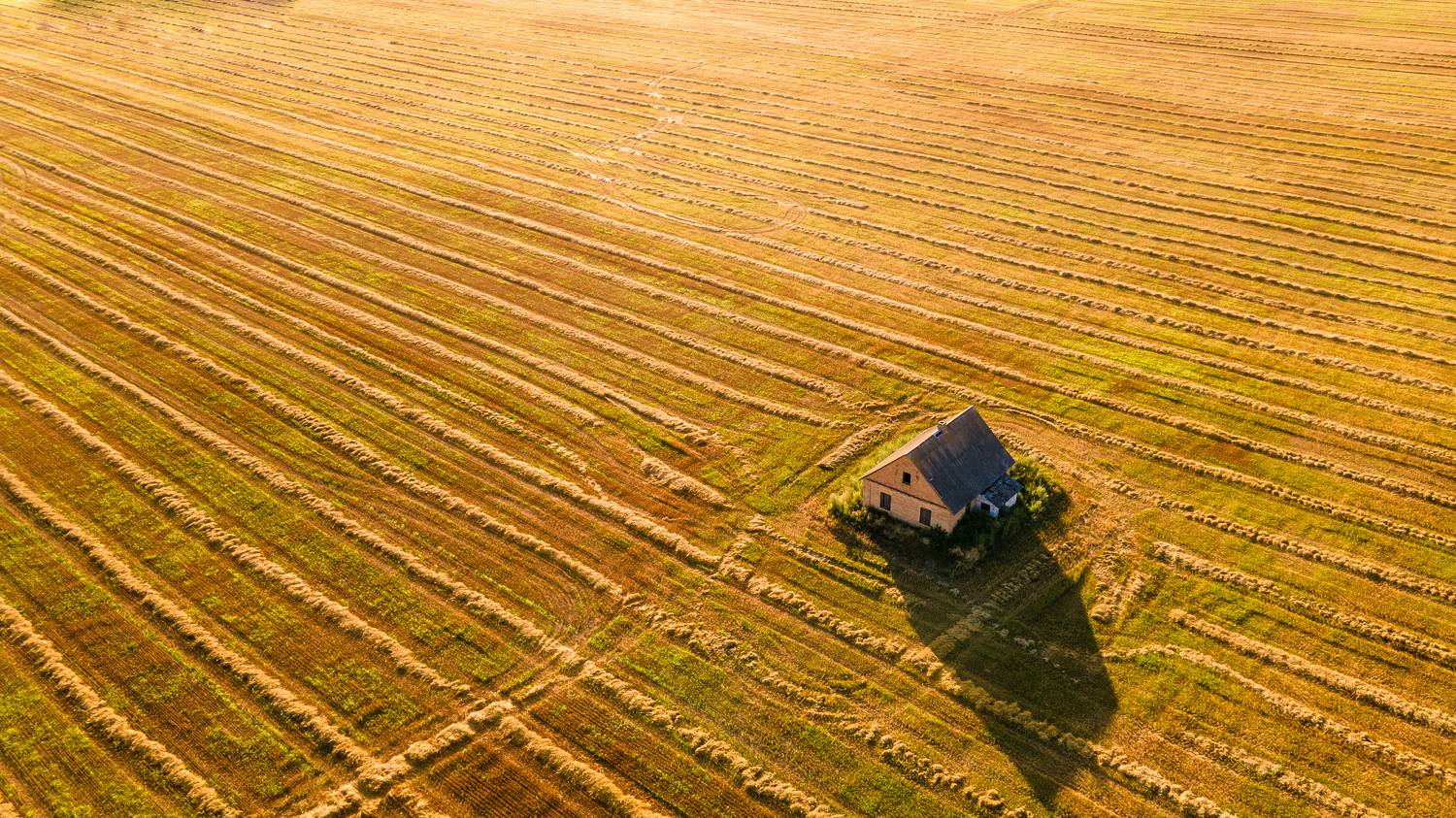 , Dzmitry Hurynovich