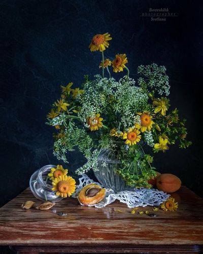 Полевые цветы