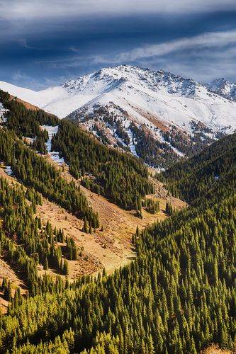 Осенние зарисовки