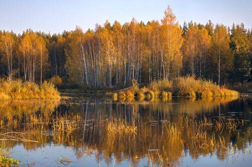 В утренних лучах.