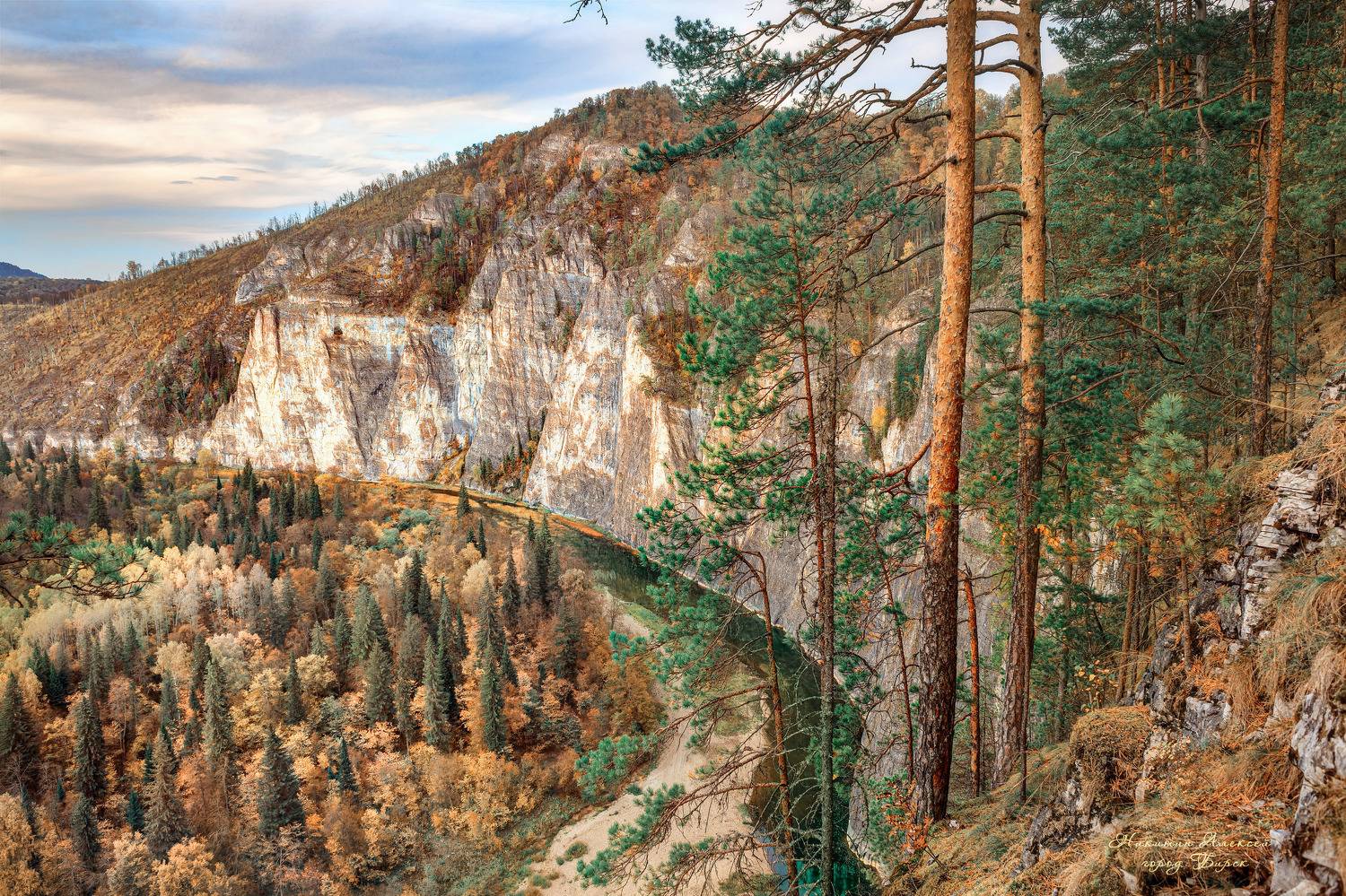 , Никитин Алексей