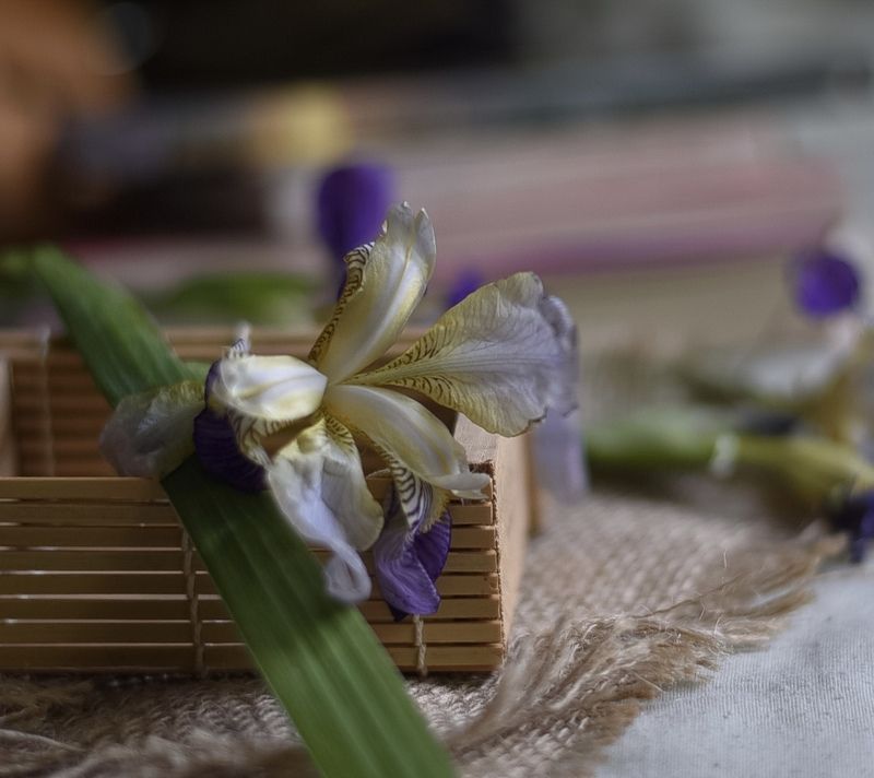 фото превью