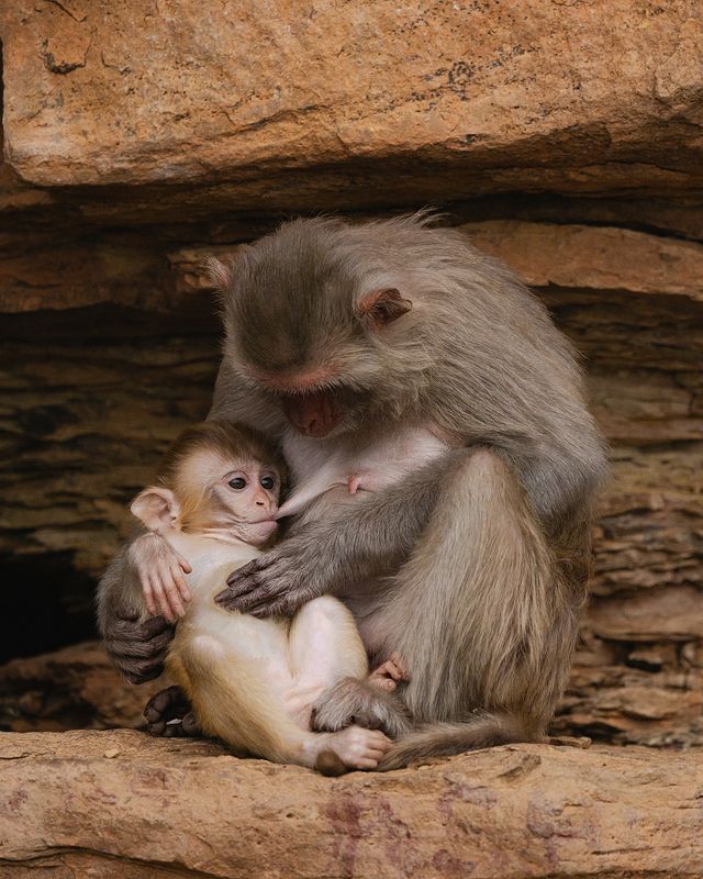 Nature & Wildlife фото превью