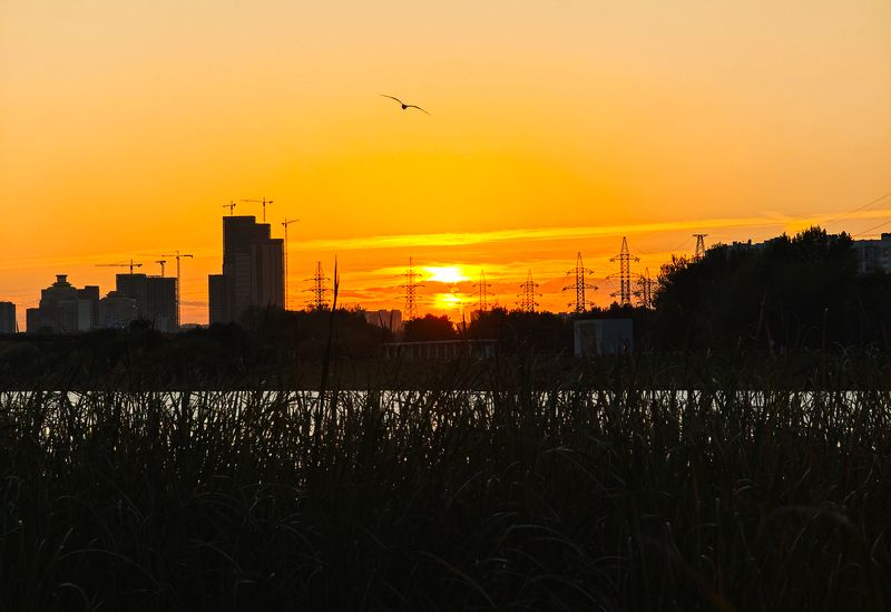 закат Городской закат фото превью