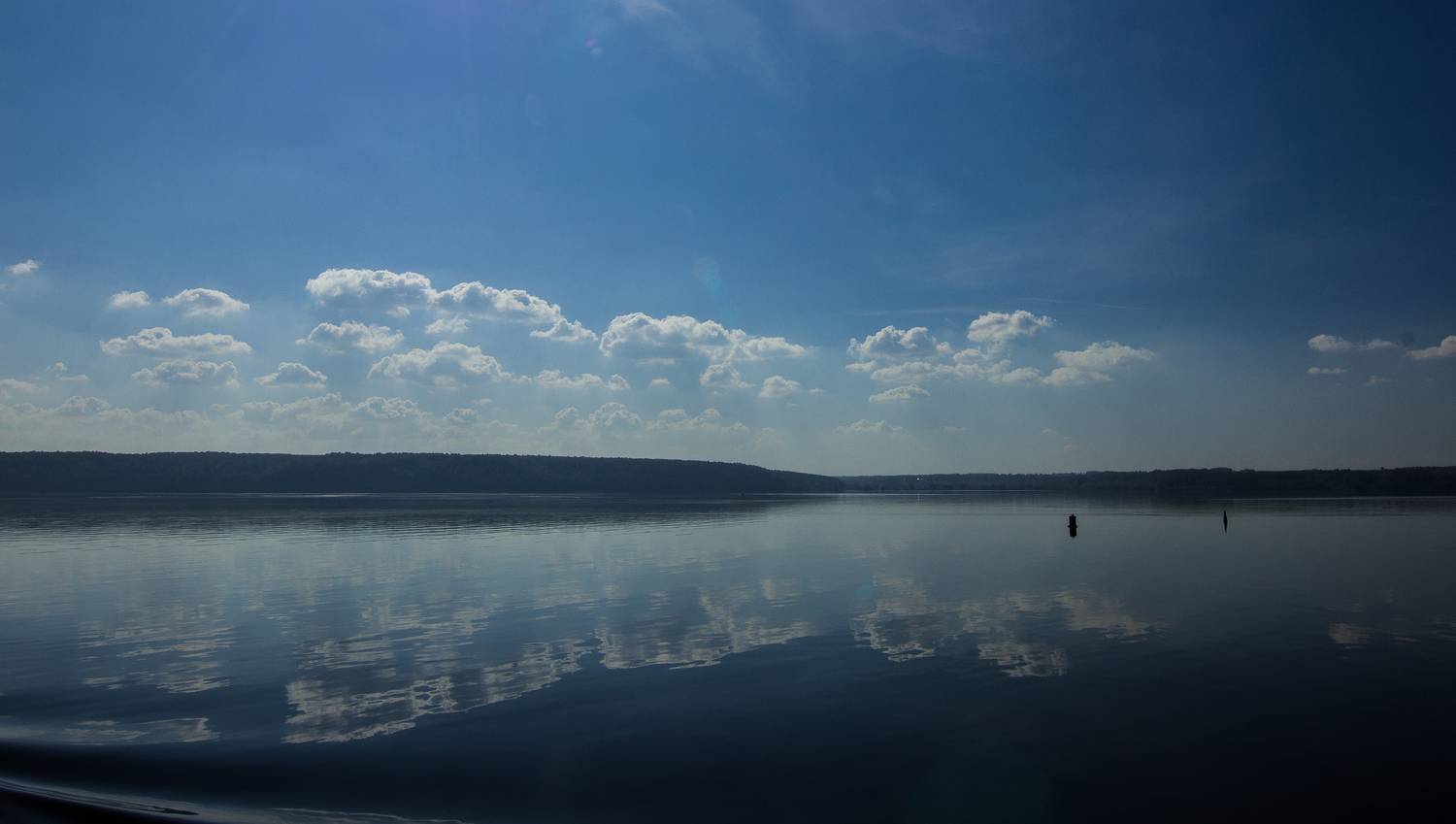 , Хвойнова Елена