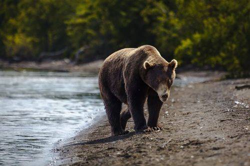 Уйди с дороги, таков закон