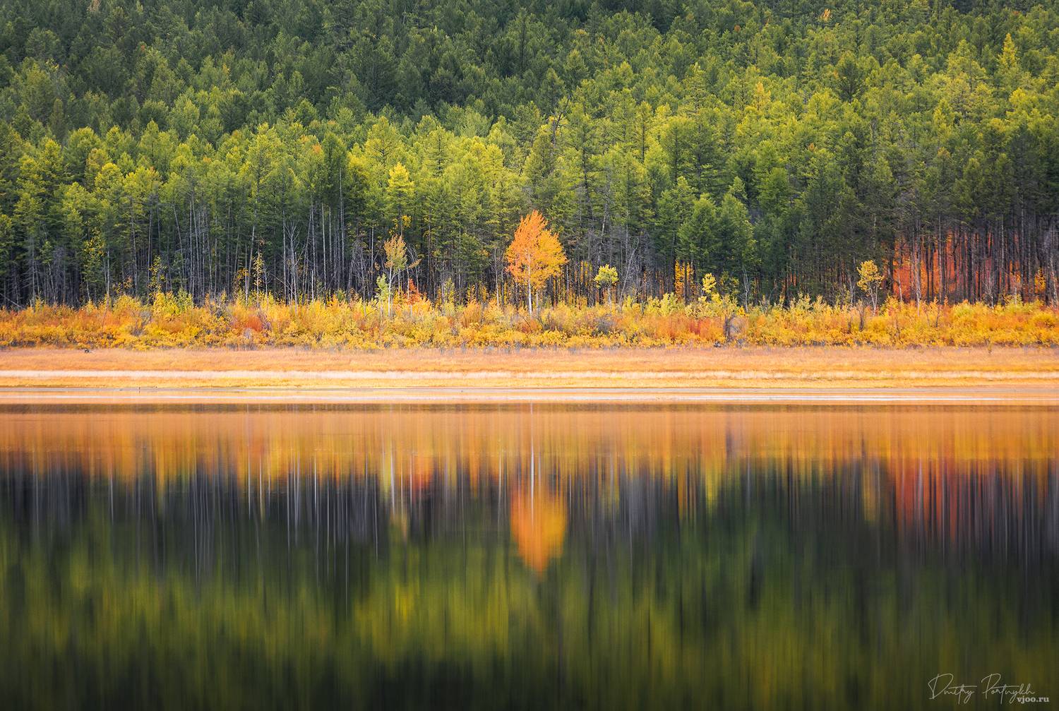 осень, симметрия, отражение, дерево, лес, вода, река, бурятия, баунт, север, Портных Дмитрий