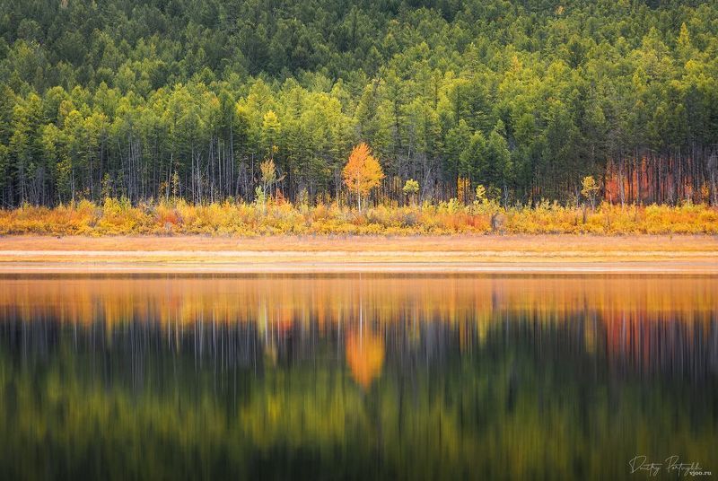 Осень в Баунтовской тайге фото превью