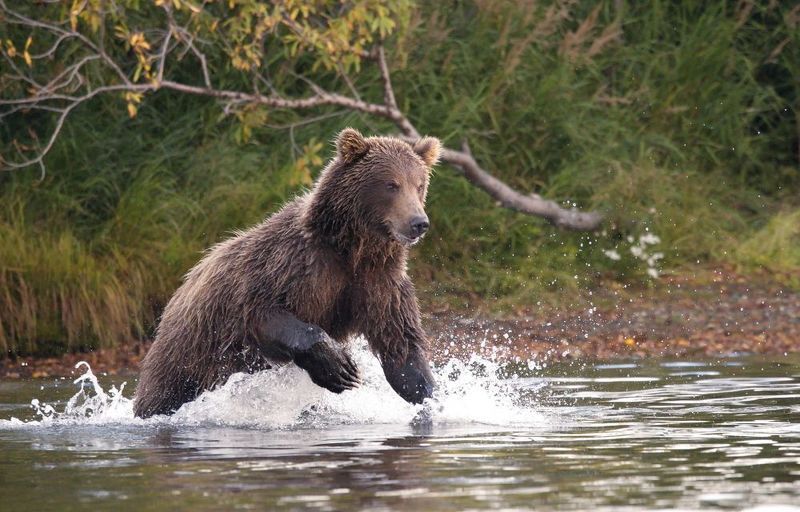 Очаровашка с суровым нравом:) фото превью