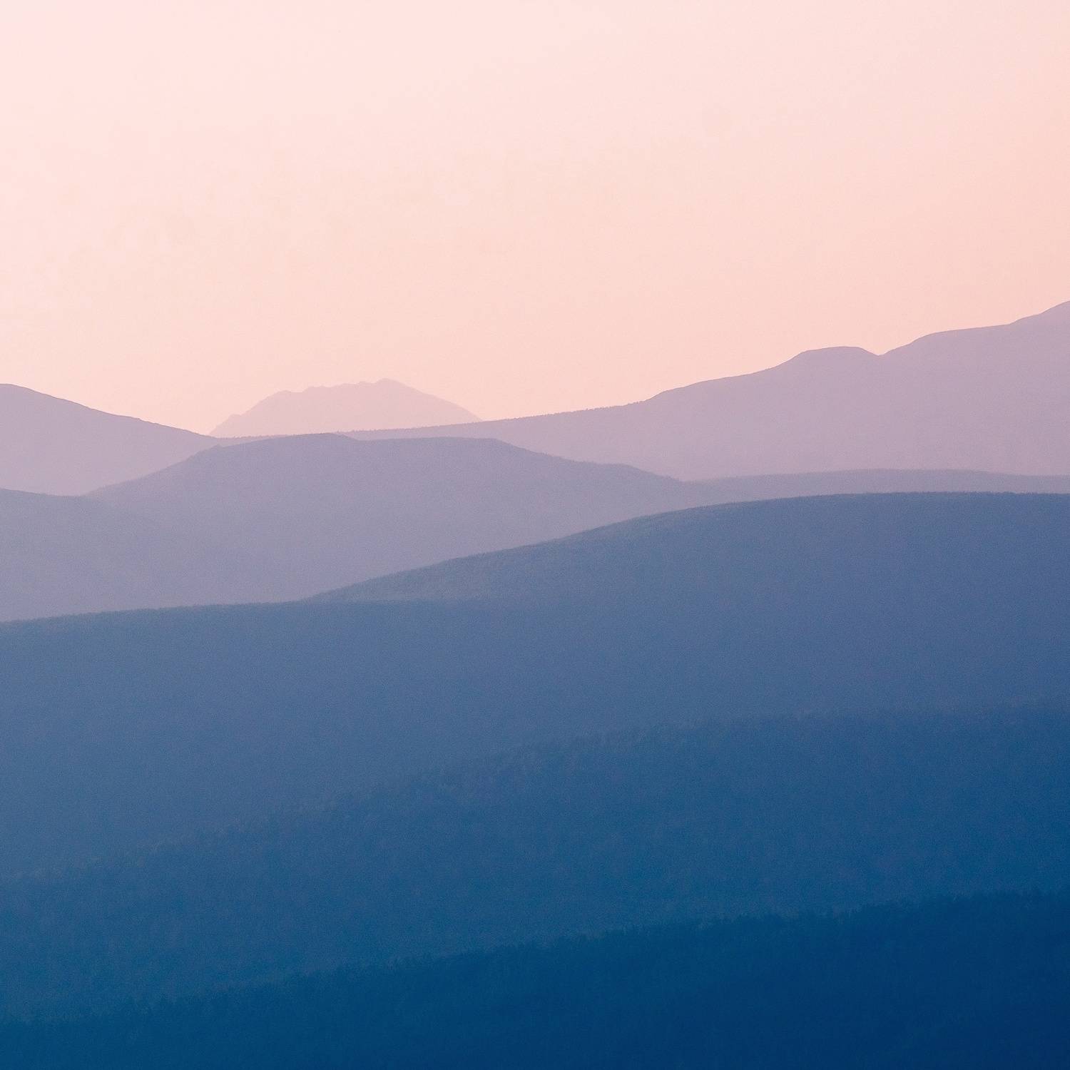 , Силантьев Даниил