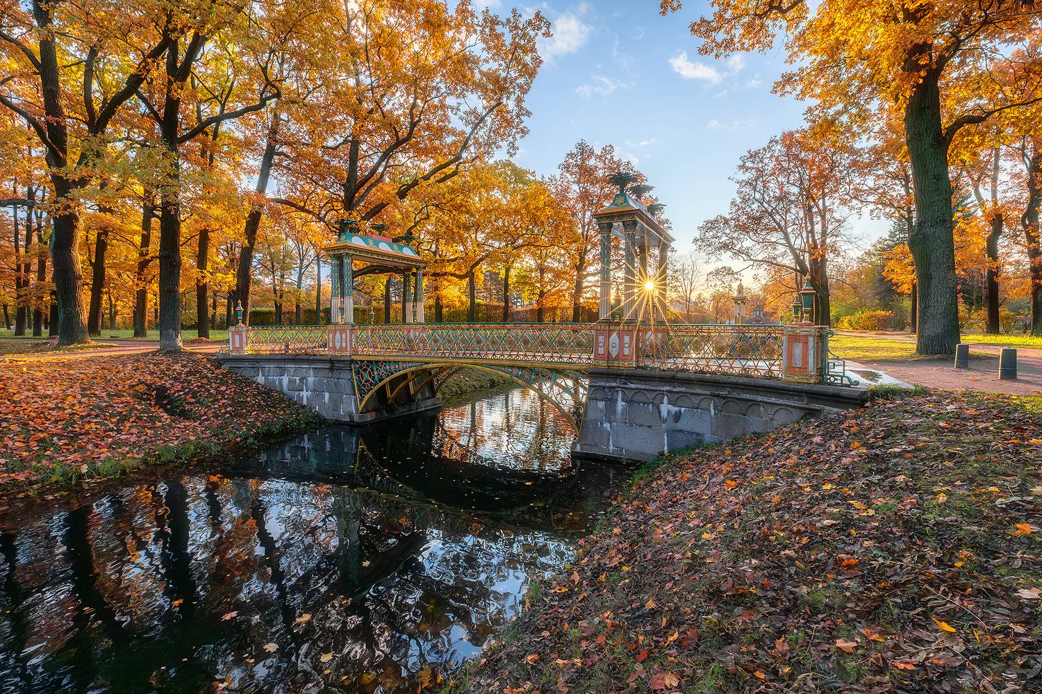 , Alexander Pashenichev