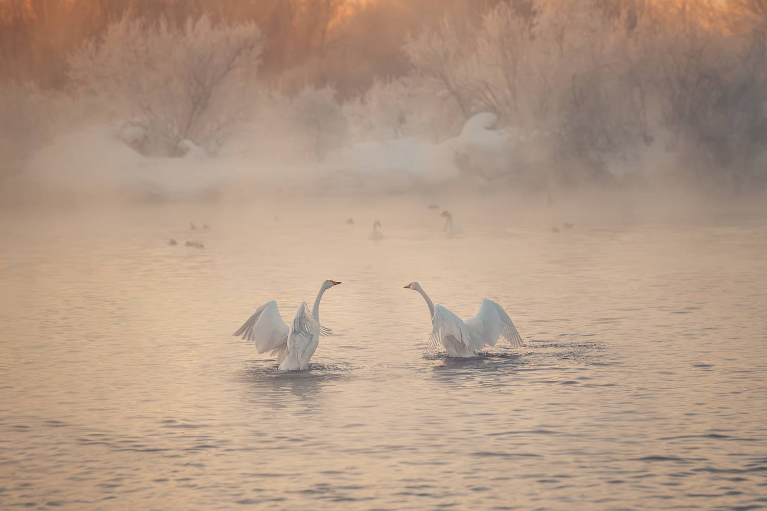 , Рагинская Ольга